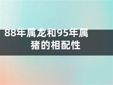 88年属龙和95年属猪的相配性