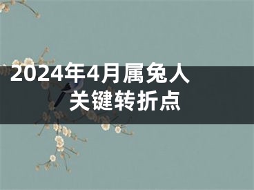 2024年4月属兔人关键转折点