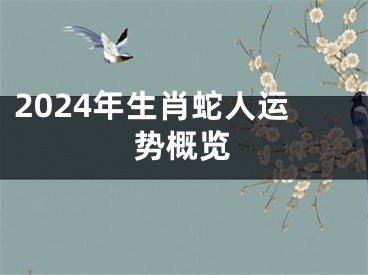 2024年生肖蛇人运势概览
