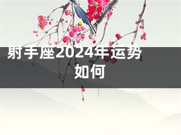 射手座2024年运势如何