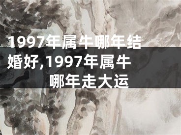 1997年属牛哪年结婚好,1997年属牛哪年走大运