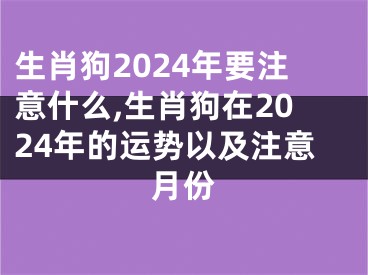 生肖狗2024年要注意什么,生肖狗在2024年的运势以及注意月份