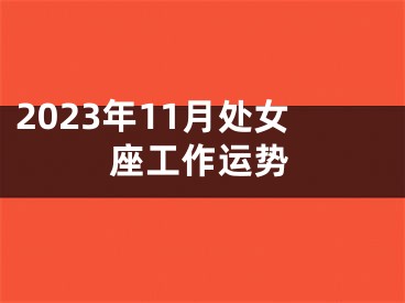 2023年11月处女座工作运势