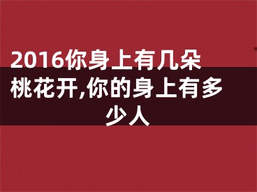 2016你身上有几朵桃花开,你的身上有多少人