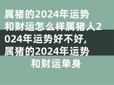属猪的2024年运势和财运怎么样属猪人2024年运势好不好,属猪的2024年运势和财运单身
