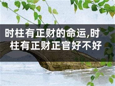 时柱有正财的命运,时柱有正财正官好不好