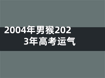 2004年男猴2023年高考运气