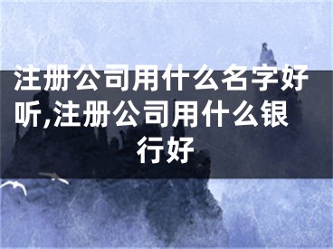 注册公司用什么名字好听,注册公司用什么银行好