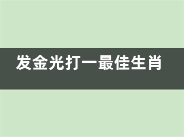 发金光打一最佳生肖