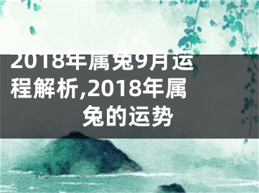 2018年属兔9月运程解析,2018年属兔的运势