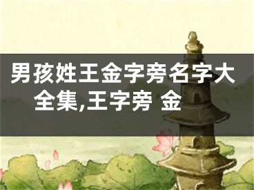 男孩姓王金字旁名字大全集,王字旁 金