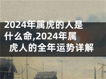 2024年属虎的人是什么命,2024年属虎人的全年运势详解
