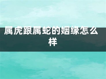 属虎跟属蛇的姻缘怎么样