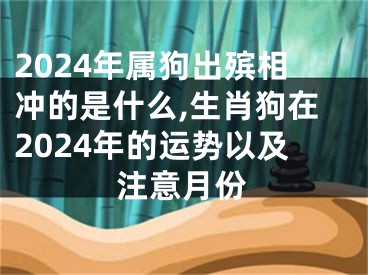 2024年属狗出殡相冲的是什么,生肖狗在2024年的运势以及注意月份