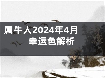 属牛人2024年4月幸运色解析