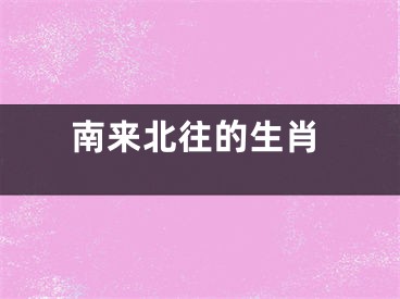 南来北往的生肖