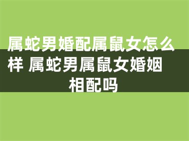 属蛇男婚配属鼠女怎么样 属蛇男属鼠女婚姻相配吗
