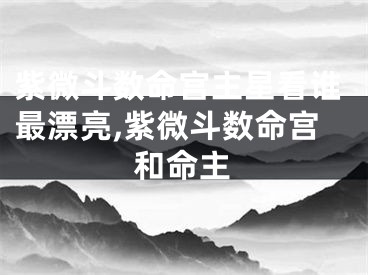紫微斗数命宫主星看谁最漂亮,紫微斗数命宫和命主