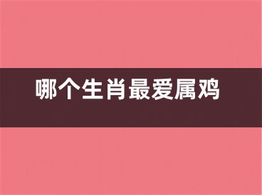 哪个生肖最爱属鸡