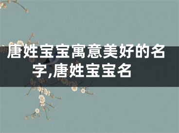 唐姓宝宝寓意美好的名字,唐姓宝宝名