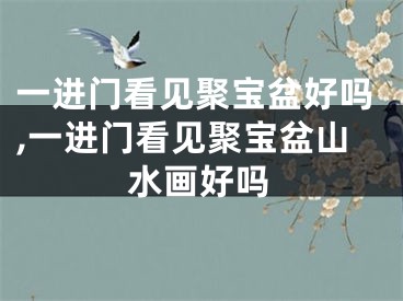 一进门看见聚宝盆好吗,一进门看见聚宝盆山水画好吗