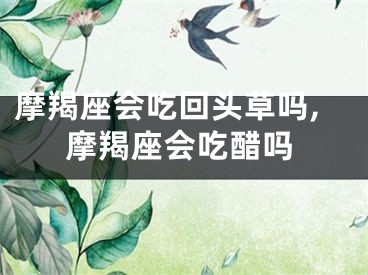 摩羯座会吃回头草吗,摩羯座会吃醋吗