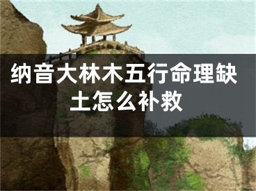 纳音大林木五行命理缺土怎么补救