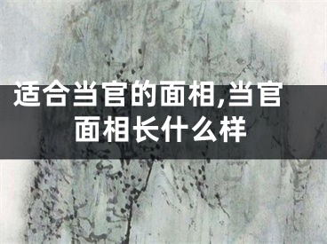 适合当官的面相,当官面相长什么样