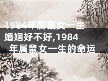 1984年属鼠女一生婚姻好不好,1984年属鼠女一生的命运