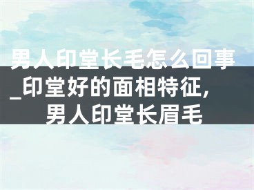 男人印堂长毛怎么回事_印堂好的面相特征,男人印堂长眉毛