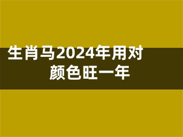 生肖马2024年用对颜色旺一年