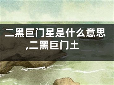 二黑巨门星是什么意思,二黑巨门土