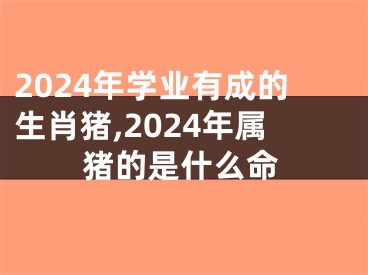 2024年学业有成的生肖猪,2024年属猪的是什么命