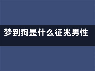 梦到狗是什么征兆男性