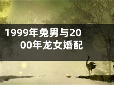 1999年兔男与2000年龙女婚配