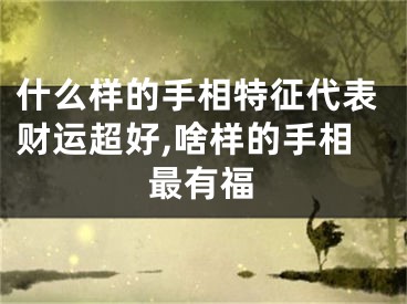 什么样的手相特征代表财运超好,啥样的手相最有福