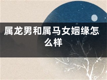 属龙男和属马女姻缘怎么样