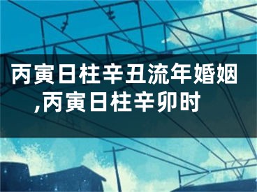 丙寅日柱辛丑流年婚姻,丙寅日柱辛卯时