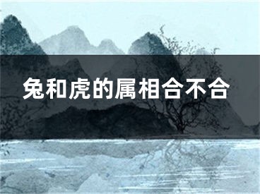 兔和虎的属相合不合