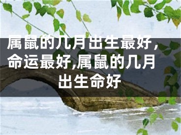 属鼠的几月出生最好，命运最好,属鼠的几月出生命好