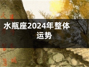 水瓶座2024年整体运势