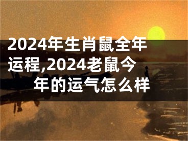 2024年生肖鼠全年运程,2024老鼠今年的运气怎么样