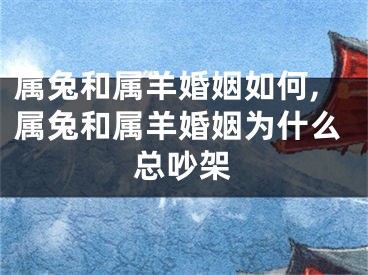 属兔和属羊婚姻如何,属兔和属羊婚姻为什么总吵架