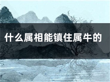 什么属相能镇住属牛的
