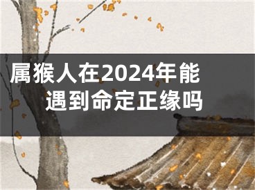 属猴人在2024年能遇到命定正缘吗