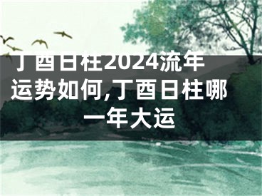 丁酉日柱2024流年运势如何,丁酉日柱哪一年大运