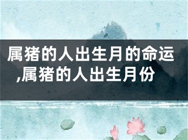 属猪的人出生月的命运,属猪的人出生月份