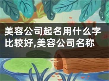 美容公司起名用什么字比较好,美容公司名称