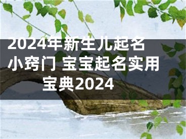 2024年新生儿起名小窍门 宝宝起名实用宝典2024