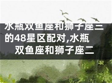 水瓶双鱼座和狮子座三的48星区配对,水瓶双鱼座和狮子座二